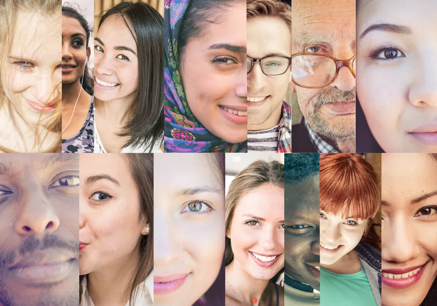 Cultural integration and networking